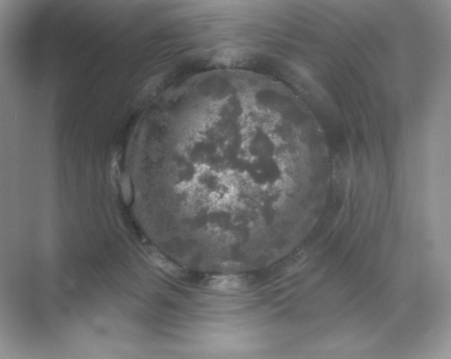 X0000071960127200607212302