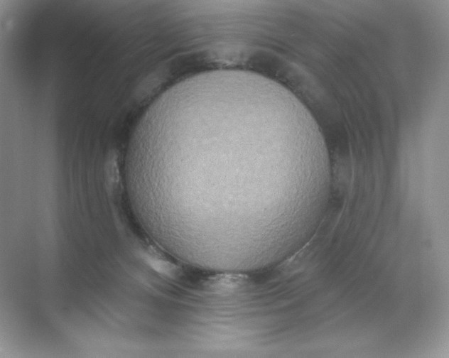 X0000071960128200607212302