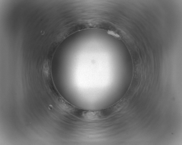 X0000071960129200607212302