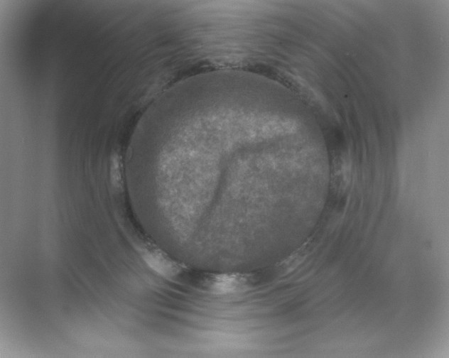 X0000071960130200607212302