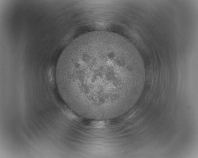 X0000071960131200607212302