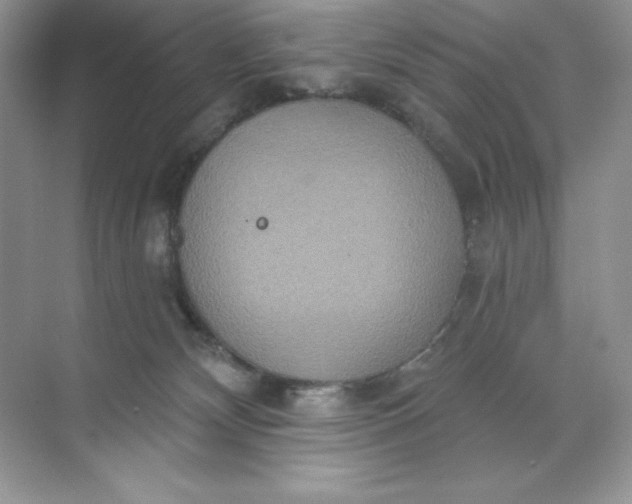 X0000071960132200607212302