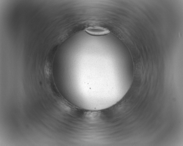 X0000071960135200607212302