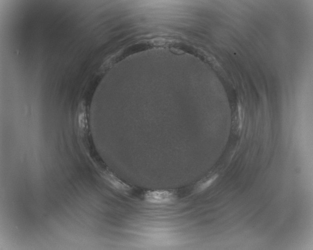 X0000071960137200607212302