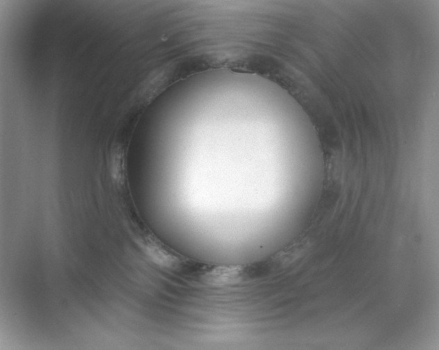 X0000071960138200607212302