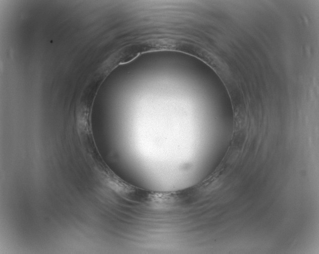 X0000071960141200607212302