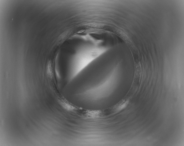 X0000071960143200607212302