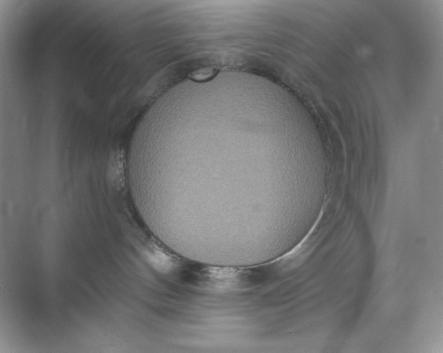 X0000071960144200607212302