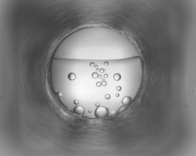 X0000071960145200607212301