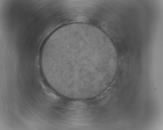 X0000071960146200607212301