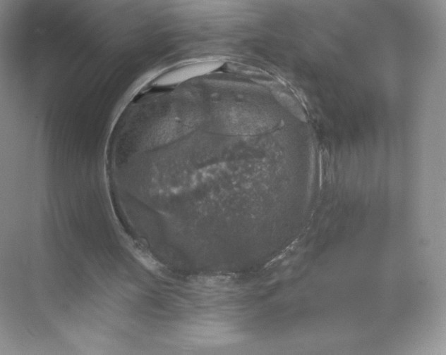 X0000071960147200607212301