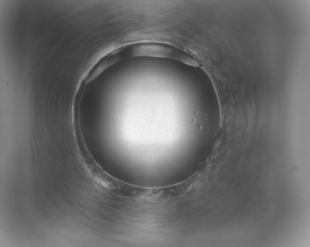 X0000071960148200607212301