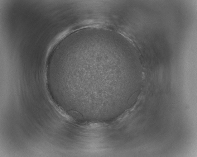 X0000071960149200607212301