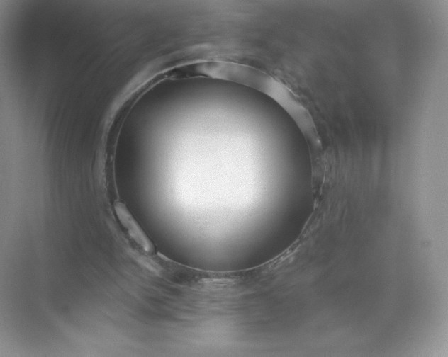 X0000071960150200607212301