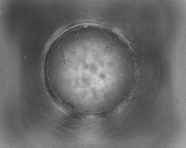 X0000071960151200607212301