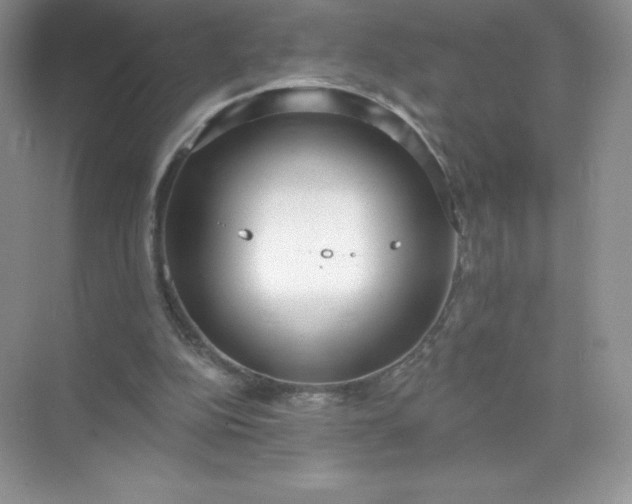 X0000071960152200607212301