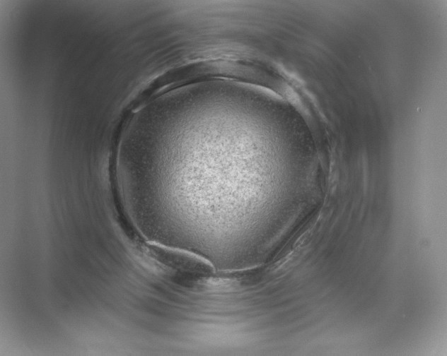 X0000071960154200607212301