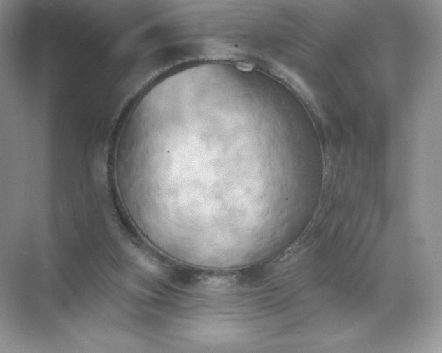 X0000071960155200607212301