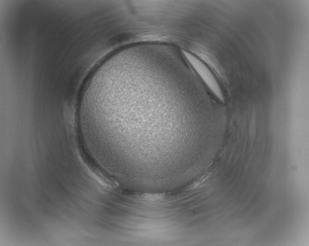 X0000071960156200607212301