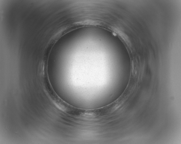 X0000071960157200607212301