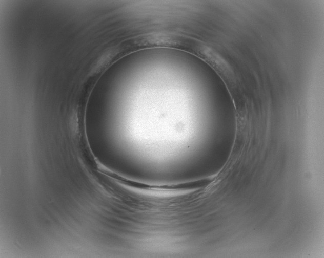 X0000071960158200607212301