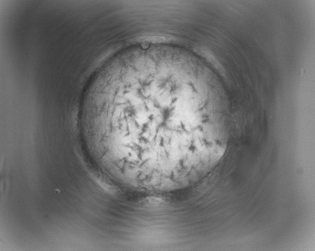 X0000071960159200607212301