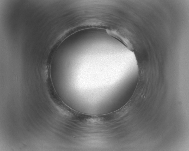 X0000071960160200607212301