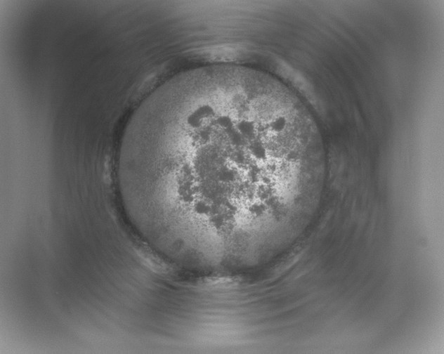 X0000071960161200607212301