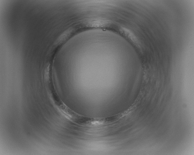 X0000071960163200607212301