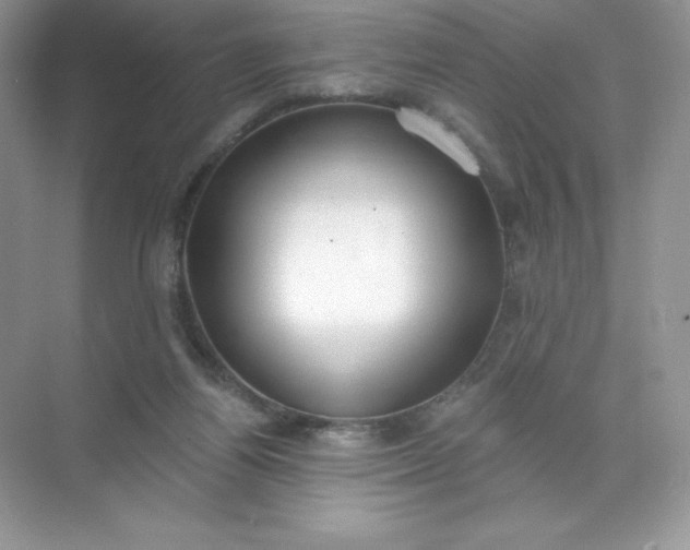 X0000071960164200607212301