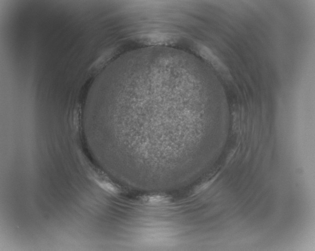 X0000071960165200607212301