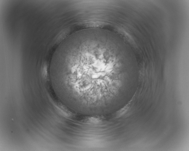 X0000071960166200607212301