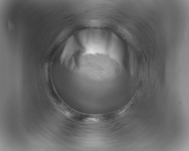 X0000071960167200607212301