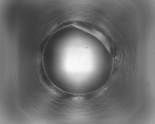 X0000071960168200607212301