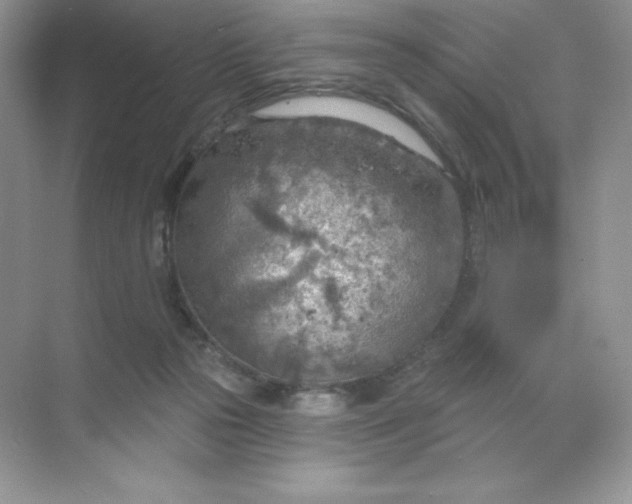 X0000071960169200607212301