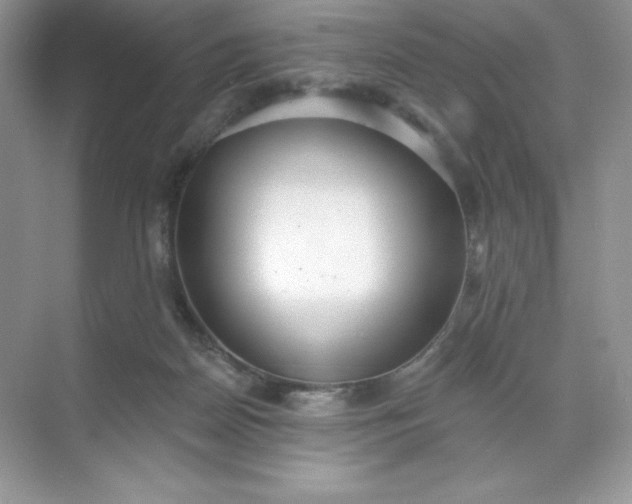 X0000071960170200607212301