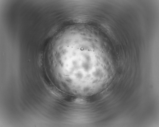 X0000071960171200607212301