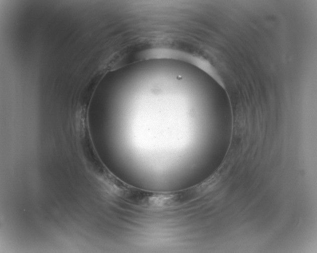 X0000071960172200607212301