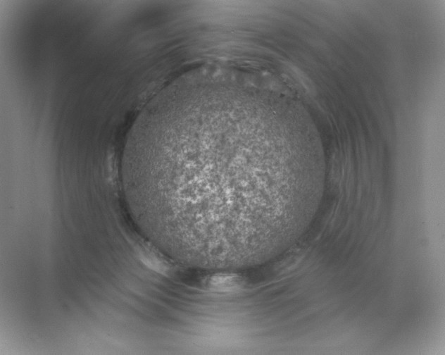 X0000071960173200607212301