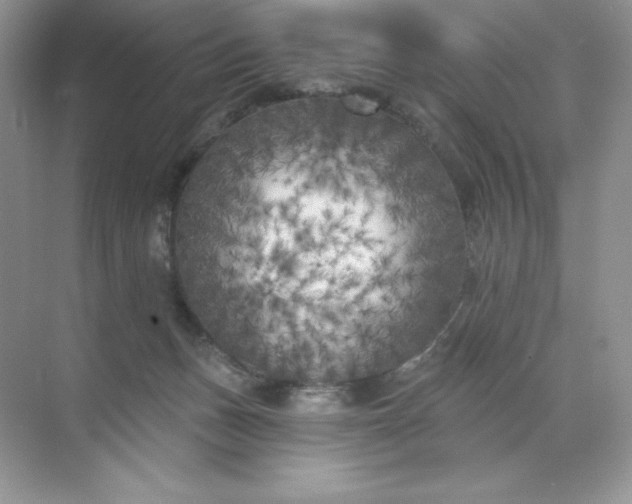 X0000071960175200607212301