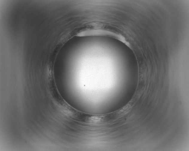 X0000071960176200607212301