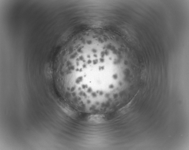 X0000071960179200607212302