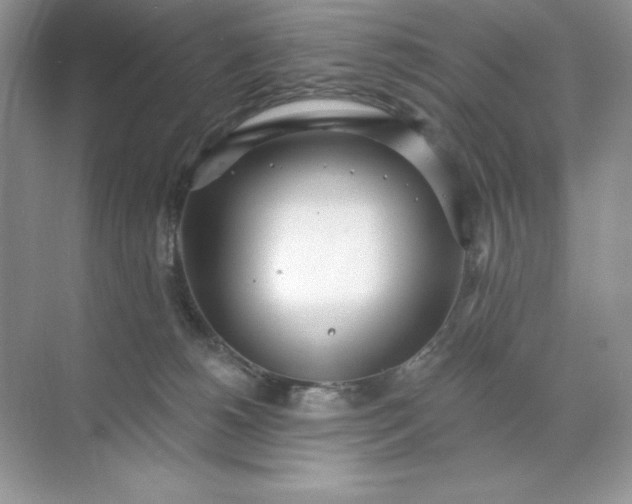 X0000071960180200607212302