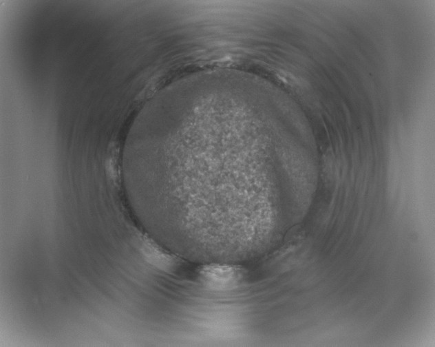 X0000071960181200607212302