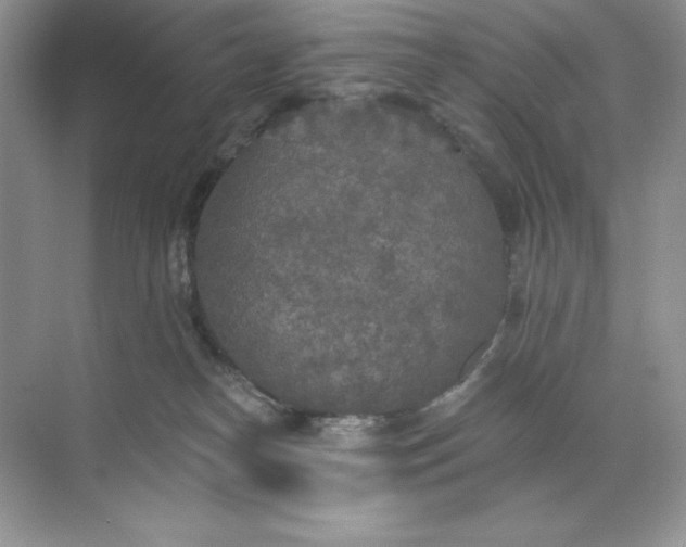 X0000071960182200607212302