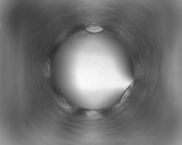 X0000071960183200607212302