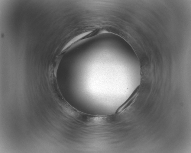 X0000071960184200607212302