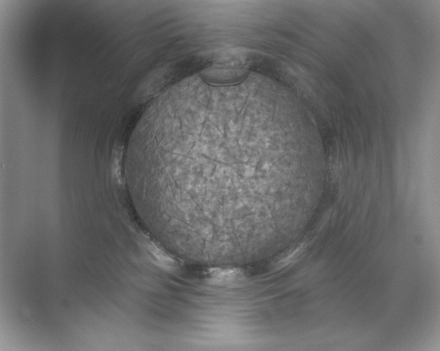 X0000071960185200607212302