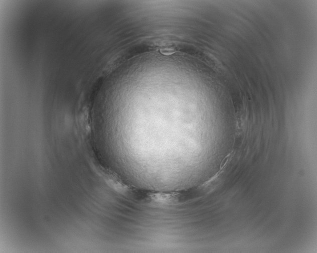 X0000071960187200607212302