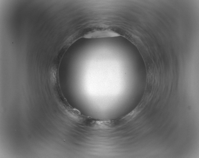 X0000071960188200607212302